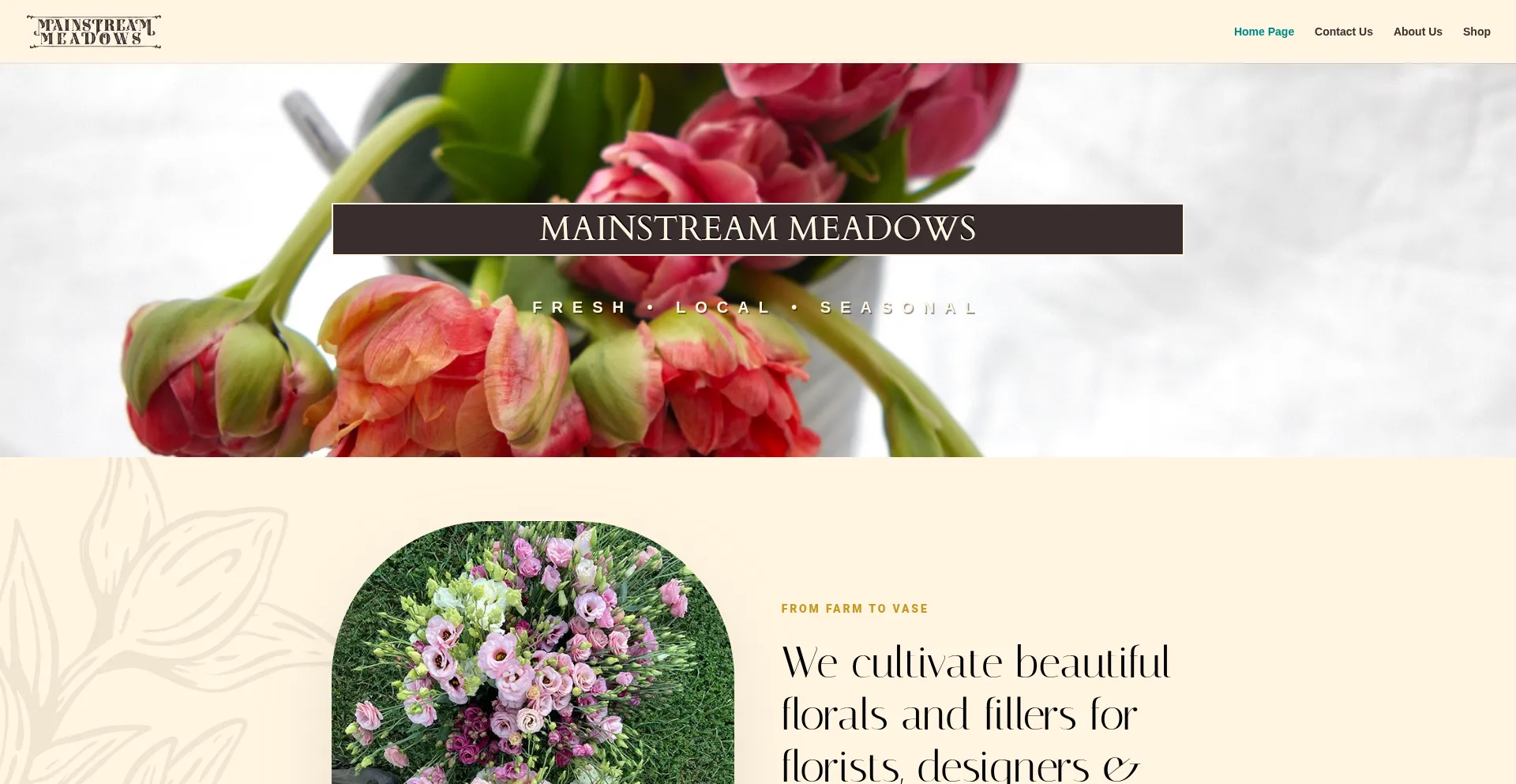 Mainstreammeadows.com