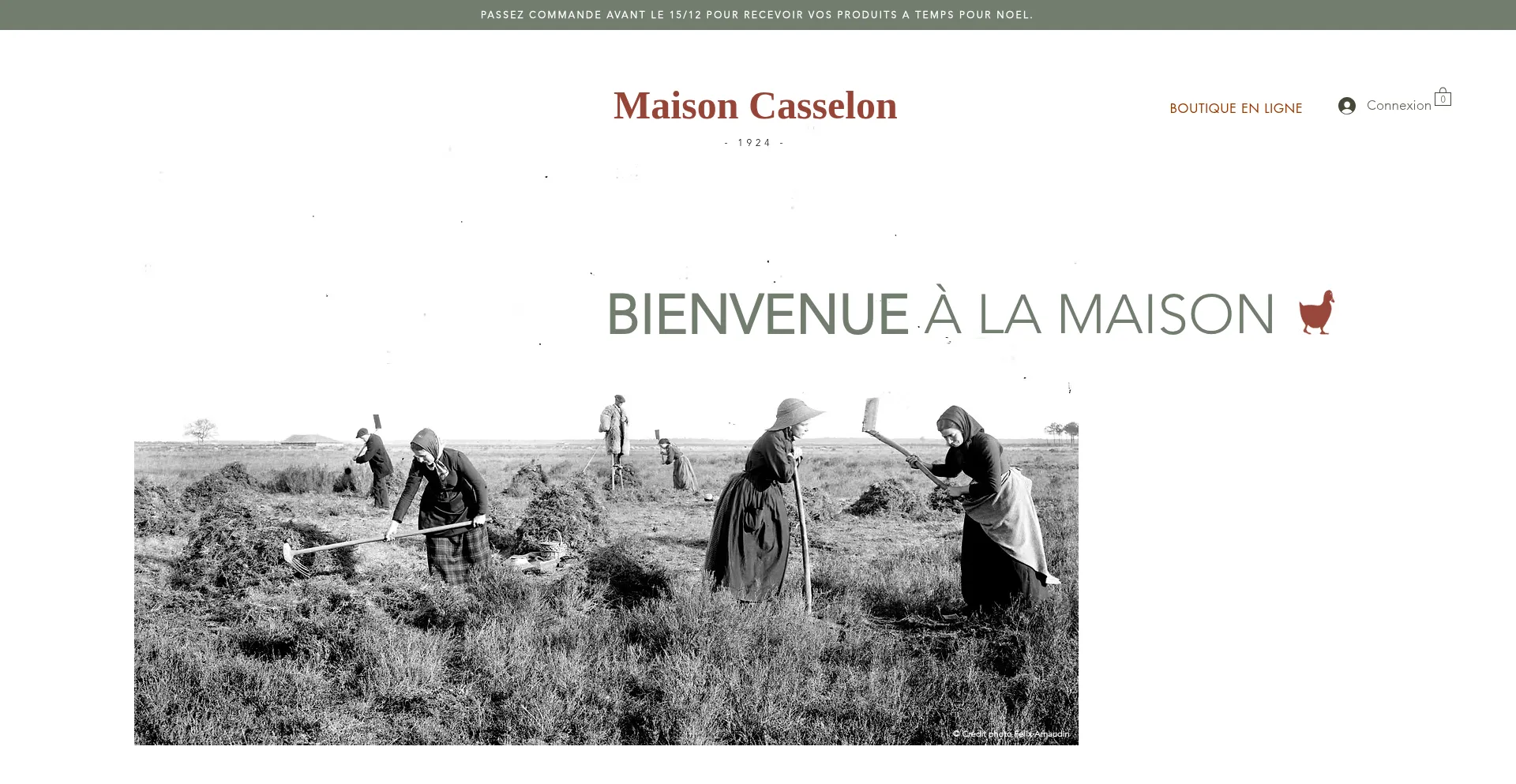 Maisoncasselon.com Screenshot
