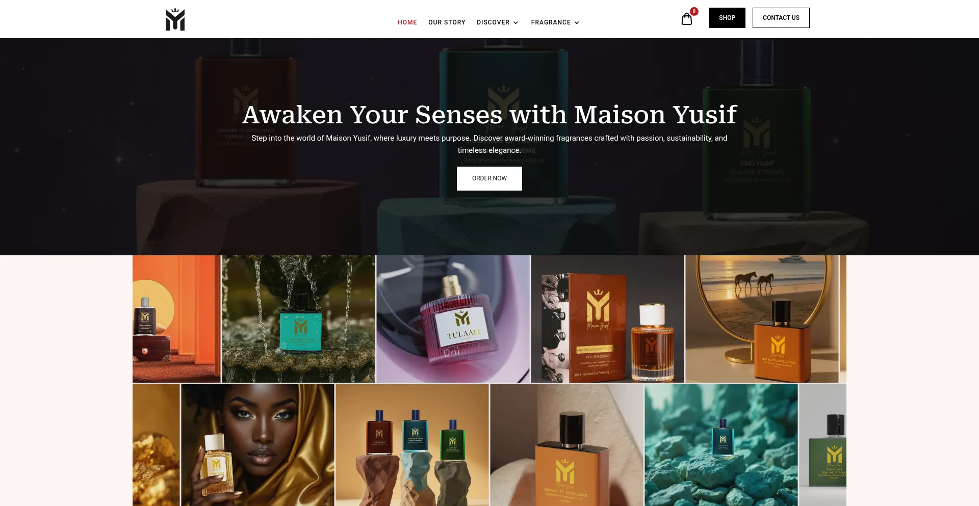 Website screenshot of Maisonyusif.com