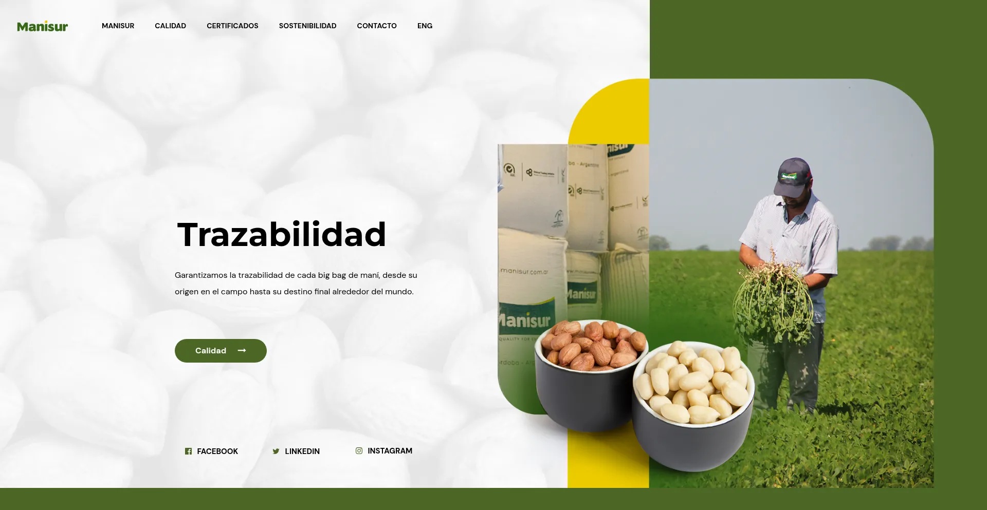 Manisur.com.ar