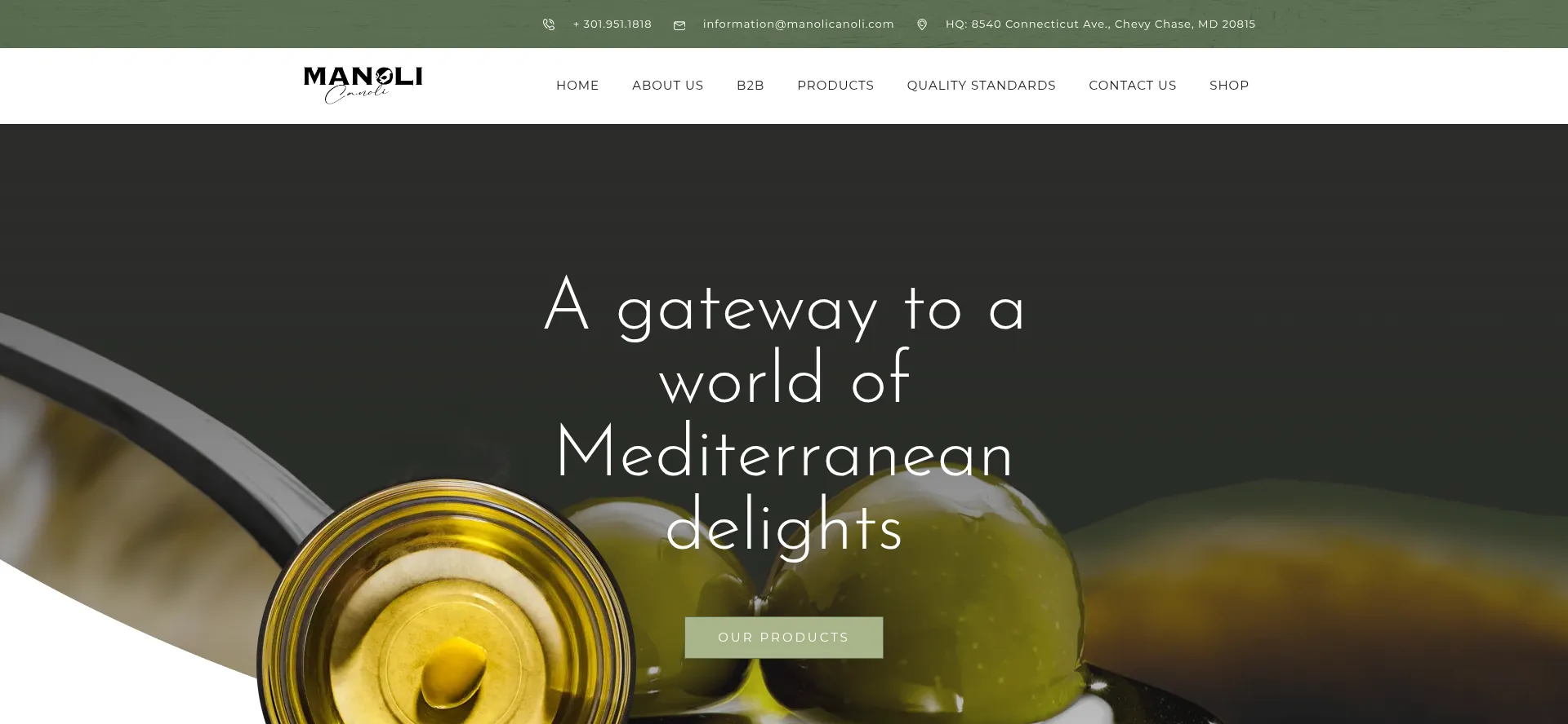 Website screenshot of Manolicanoli.net