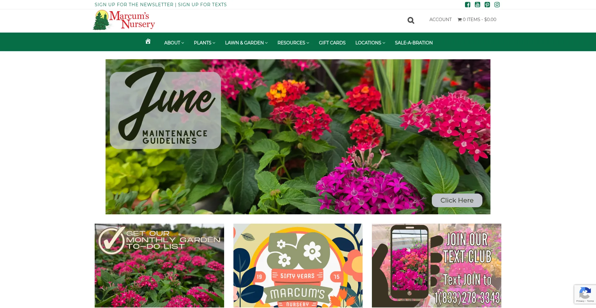 Website screenshot of Marcumsnursery.com