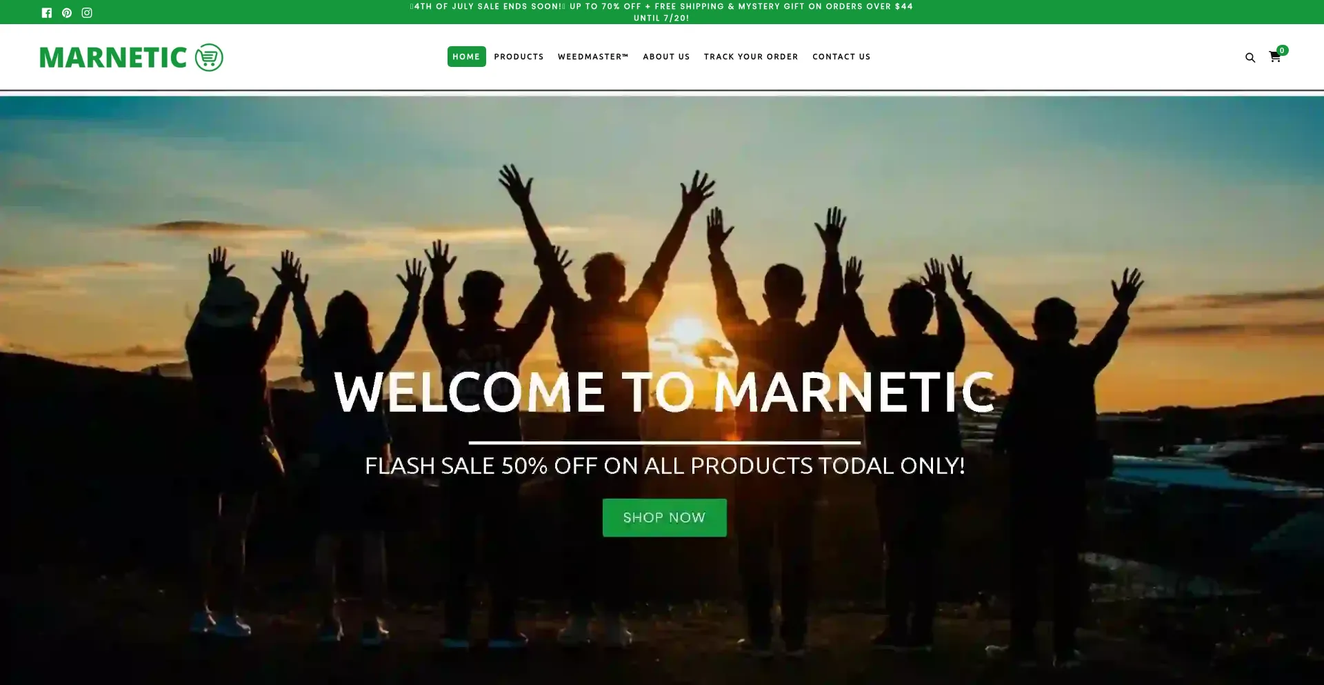 Website screenshot of Marnetic.com