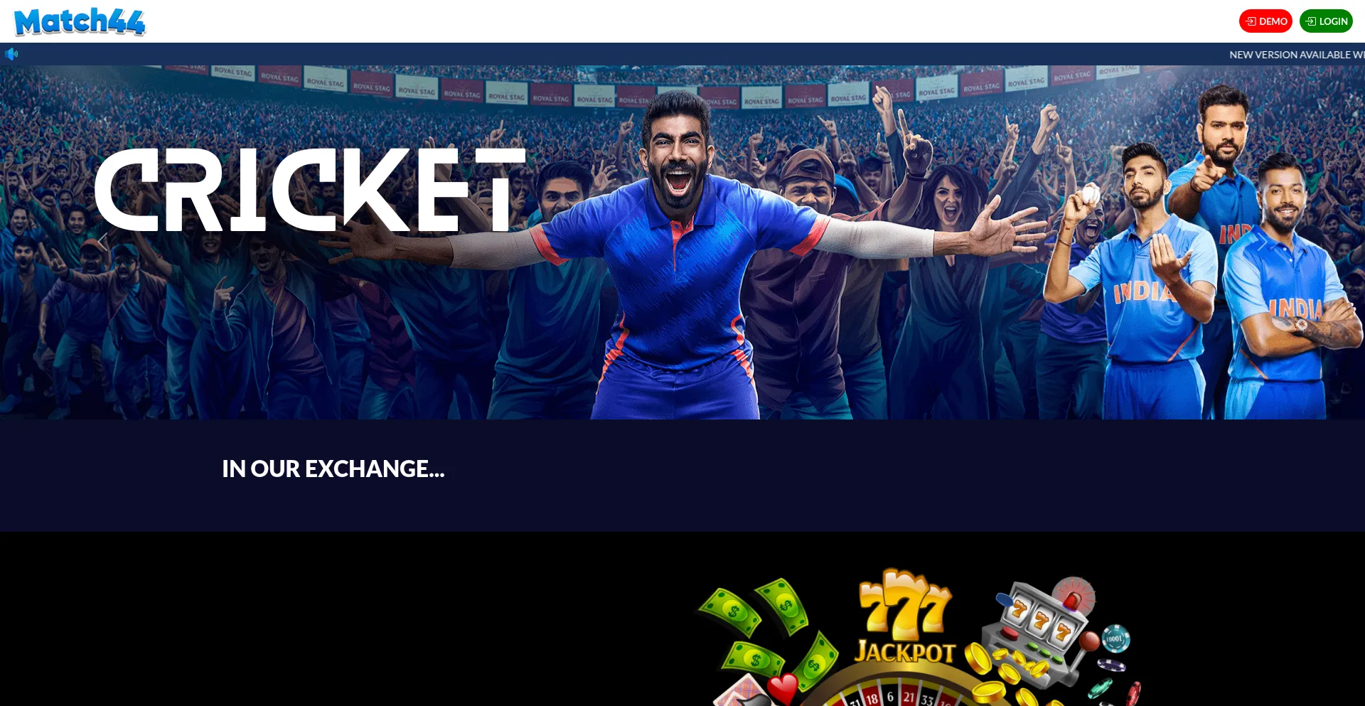 Website screenshot of Match44.com