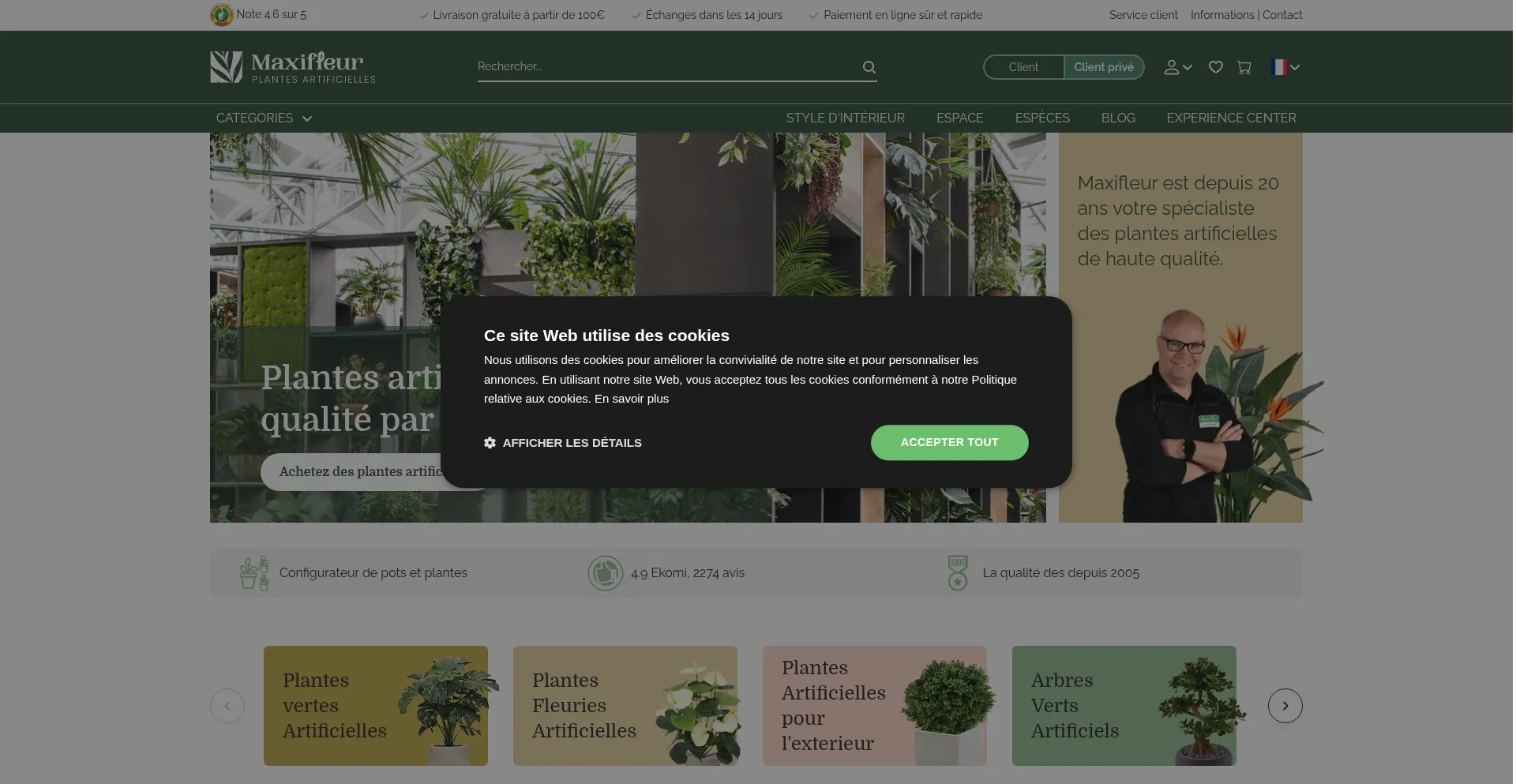 Website screenshot of Maxifleur-plantes-artificielles.fr