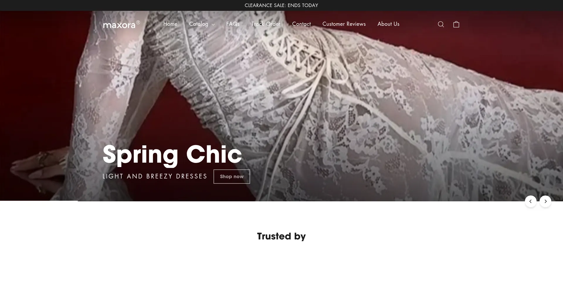 Website screenshot of Maxora.store