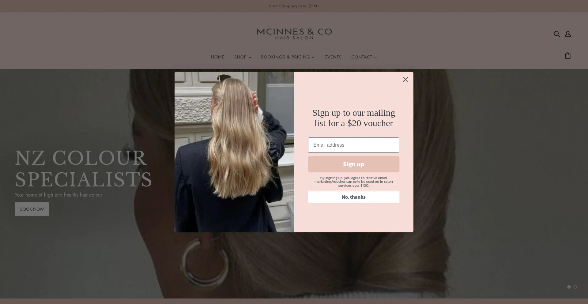 Mcinnesandco.nz Screenshot