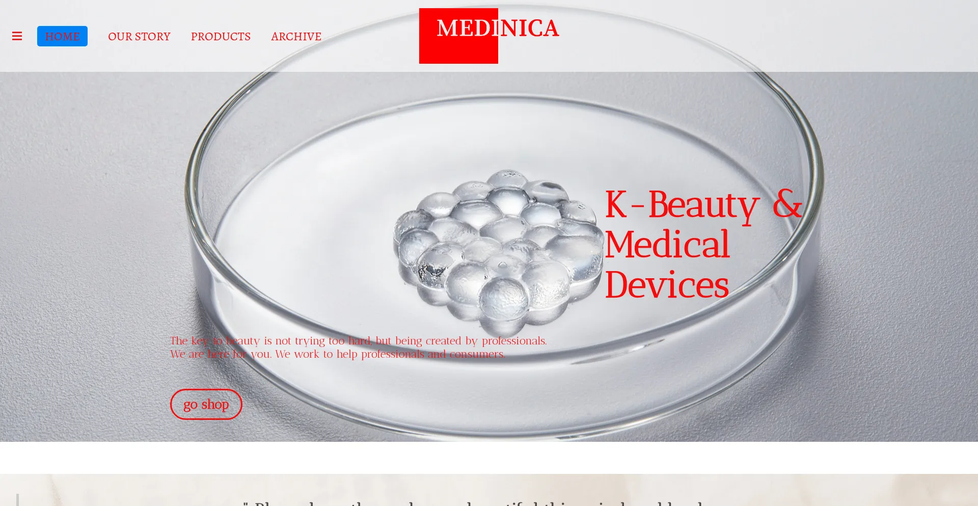 Website screenshot of Medinica.com