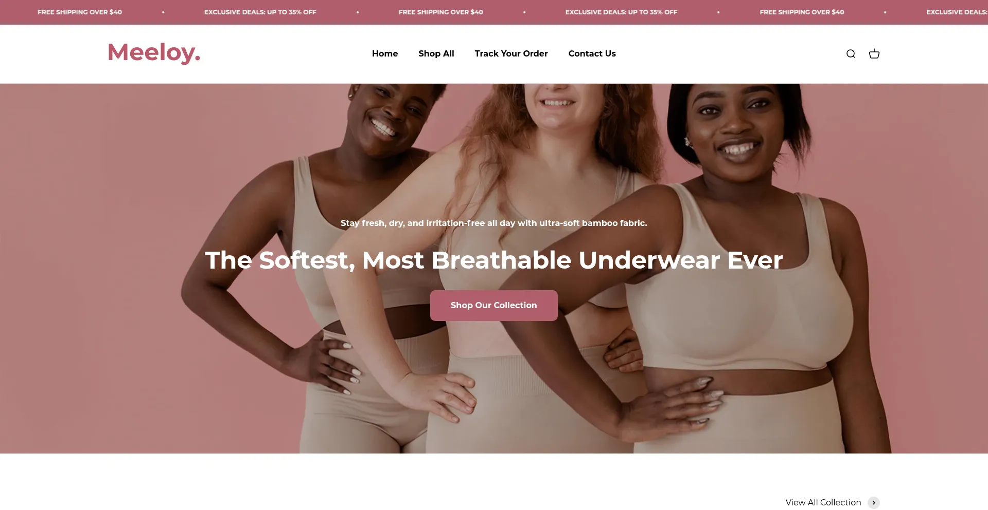 Website screenshot of Meeloy.com