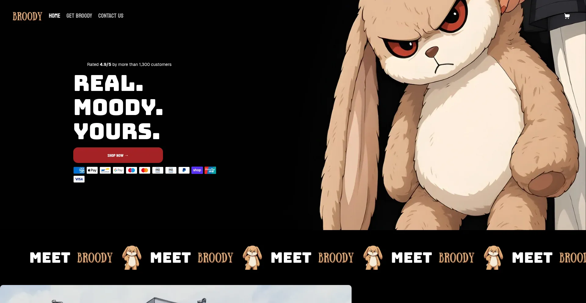 Is Meetbroody.com Safe?