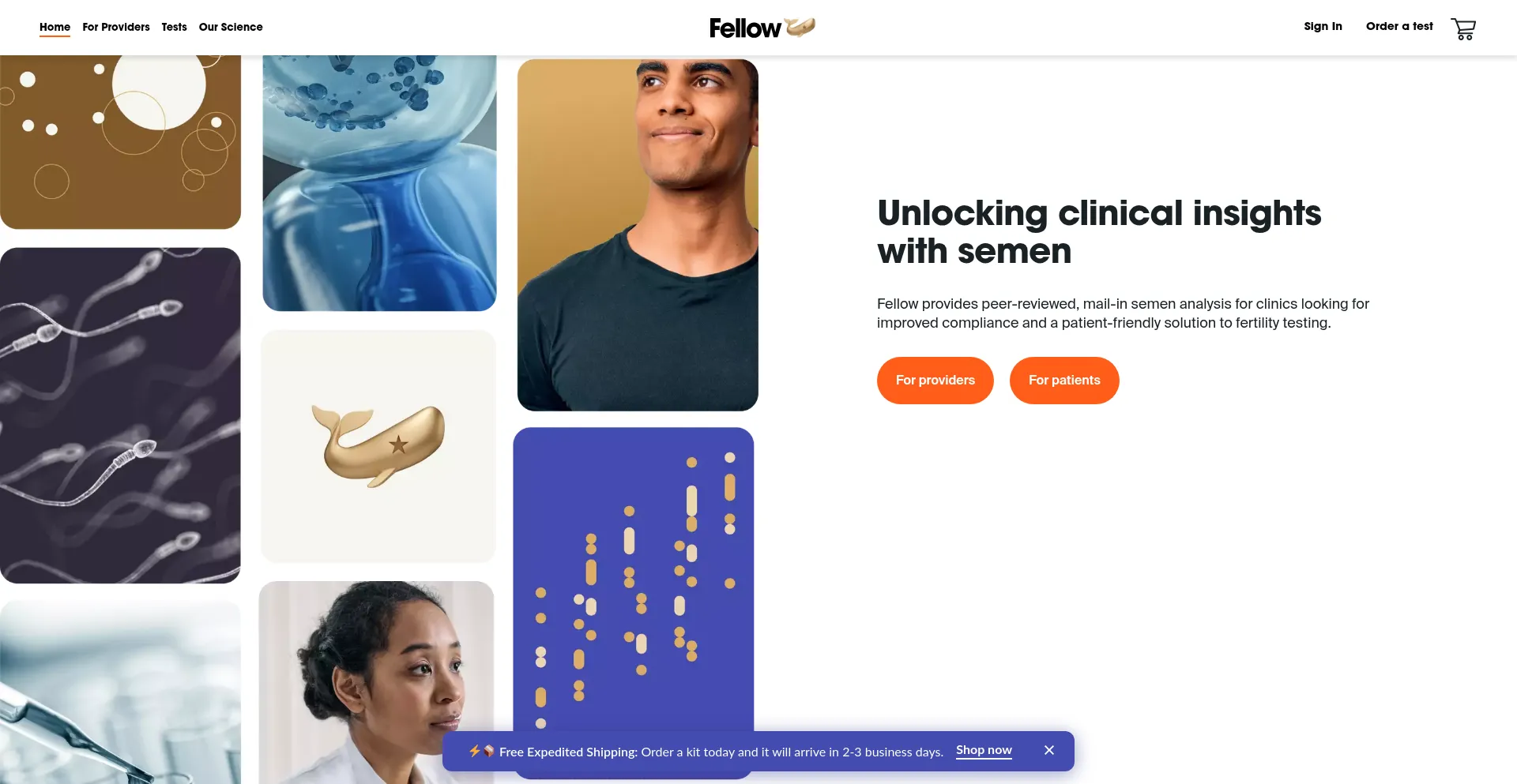 Is Meetfellow.com Safe?