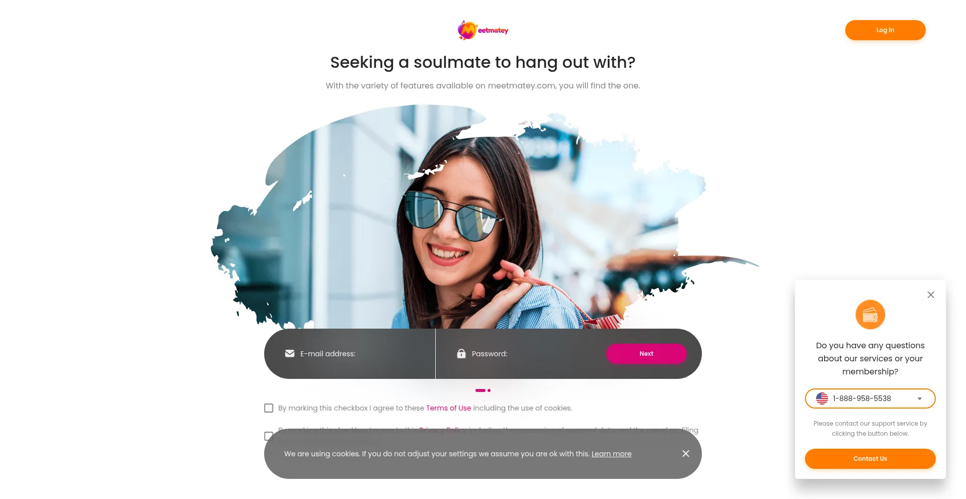 Website screenshot of Meetmatey.com