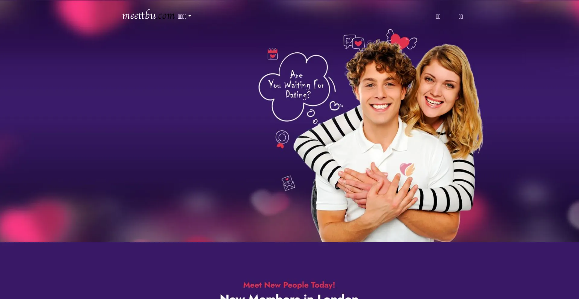 Website screenshot of Meettbu.com