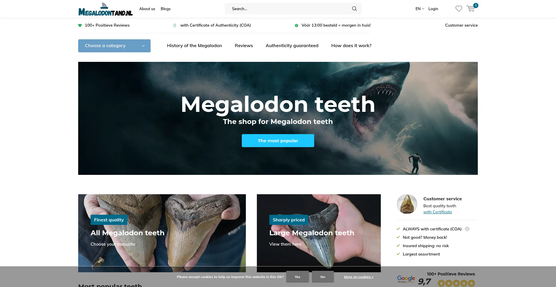 Website screenshot of Megalodontand.nl