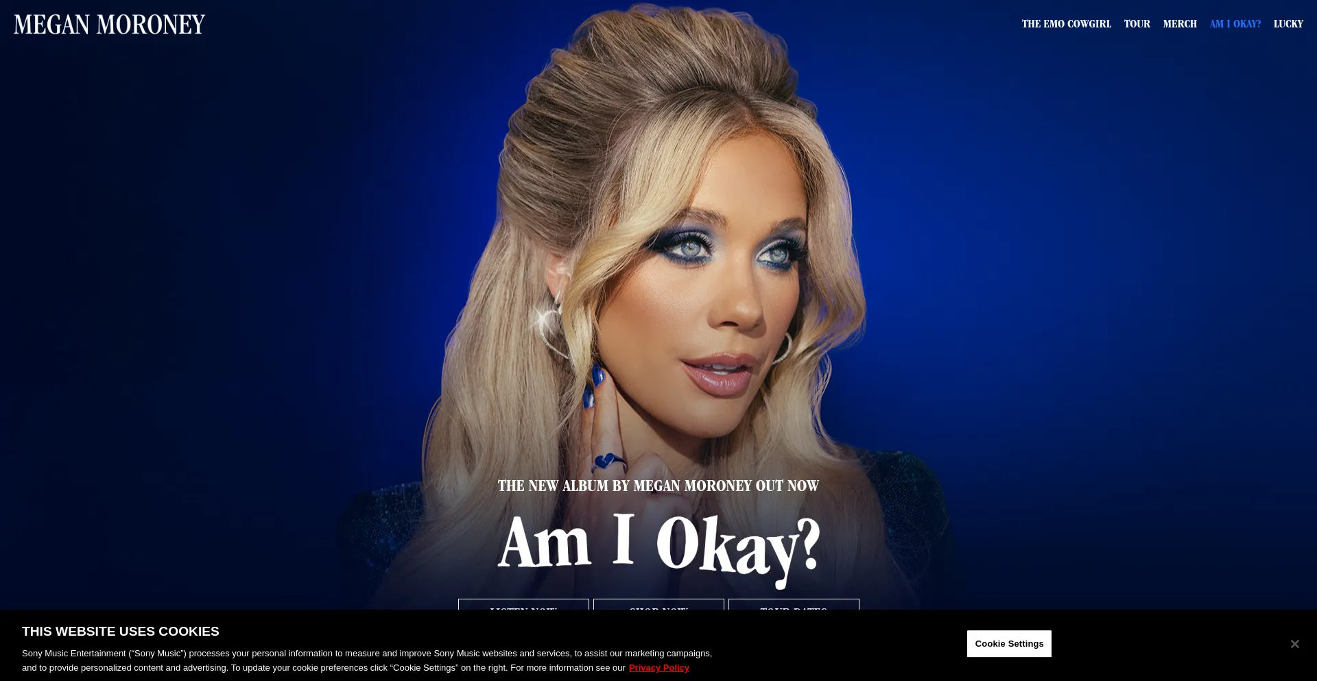 Website screenshot of Meganmoroney.com