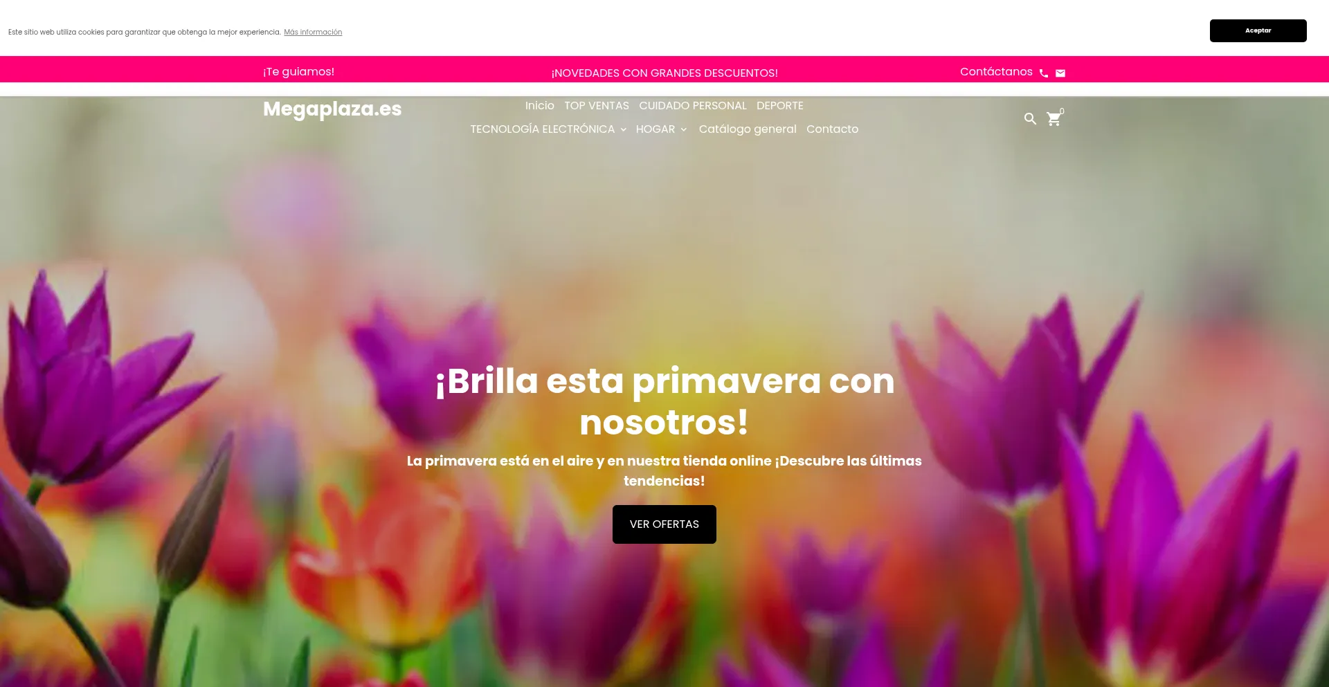 Website screenshot of Megaplaza.es