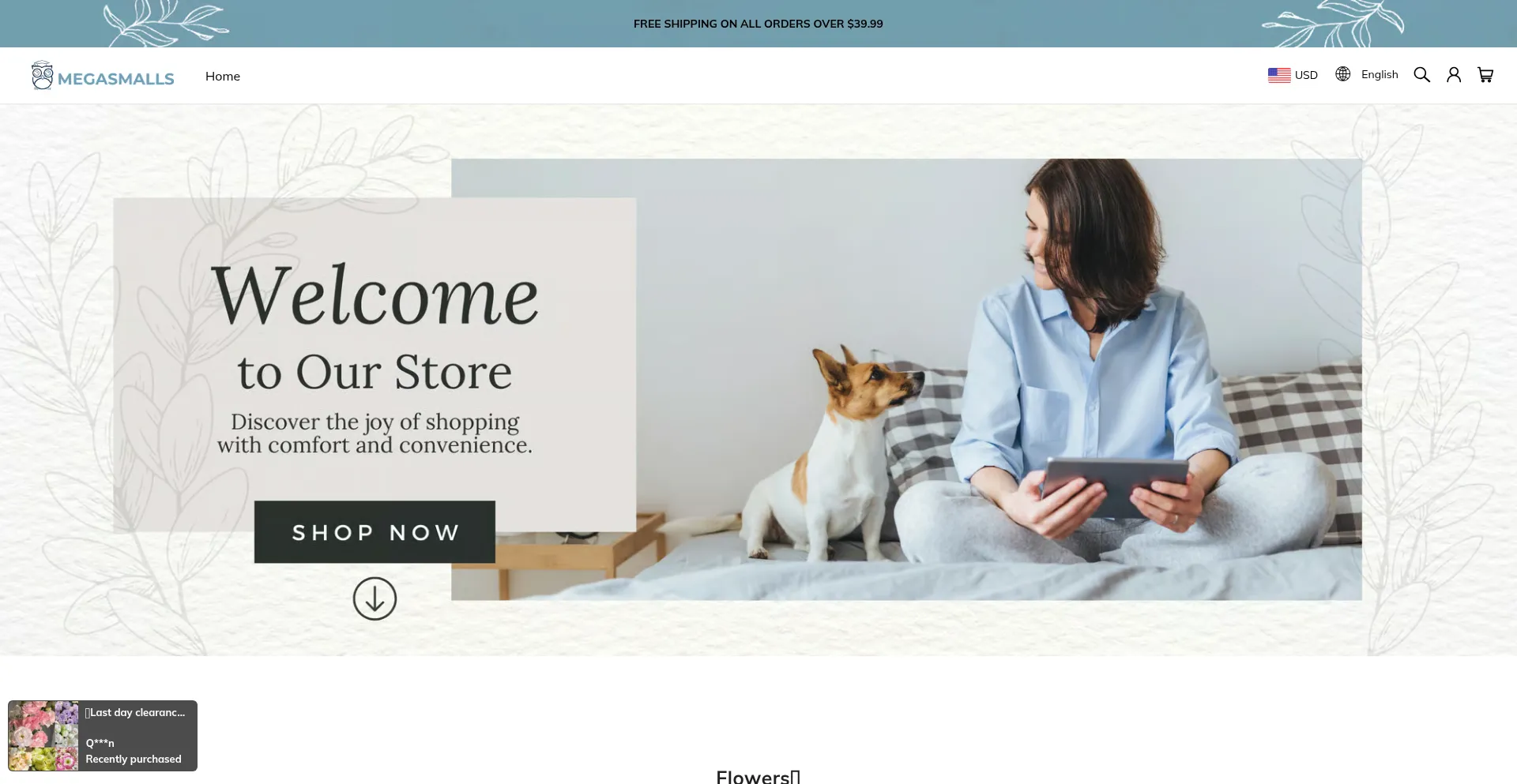 Website screenshot of Megasmalls.com