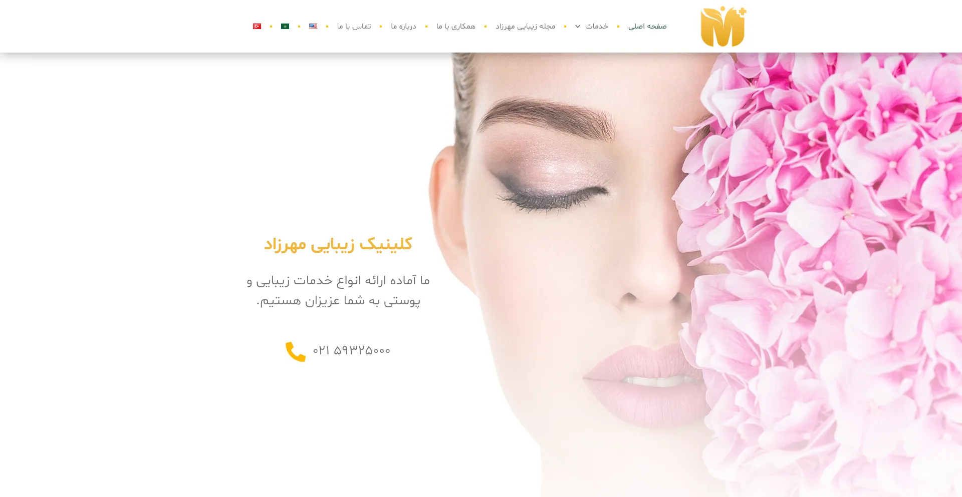 Website screenshot of Mehrzadclinic.com