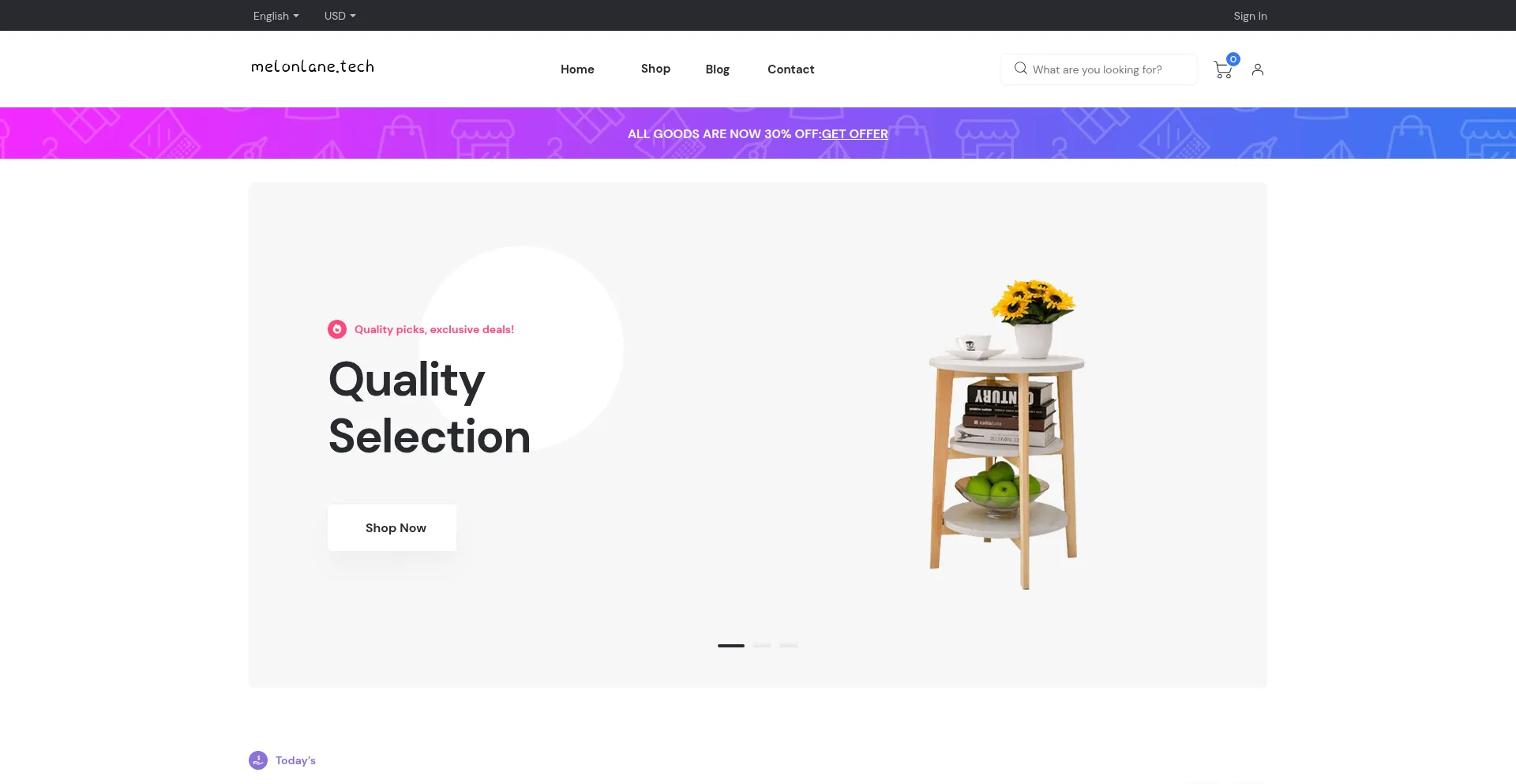Website screenshot of Melonlane.tech