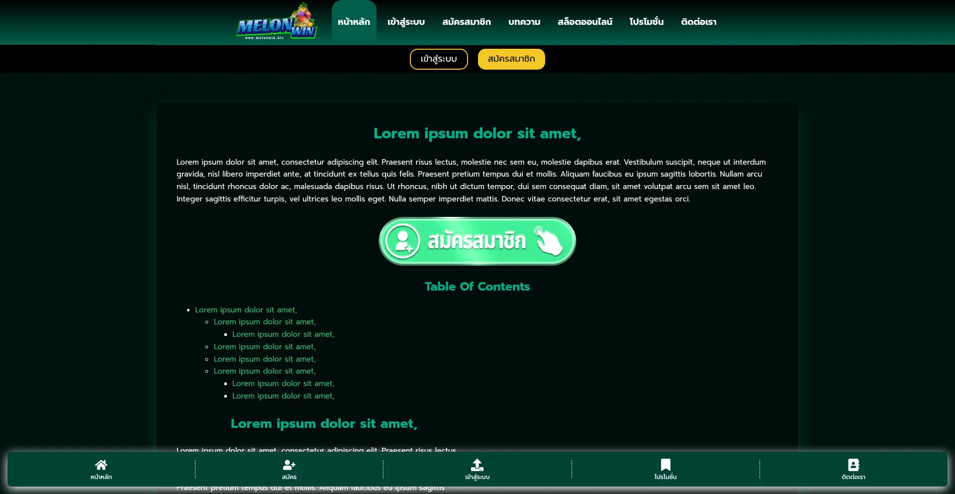 Website screenshot of Melonwin.biz