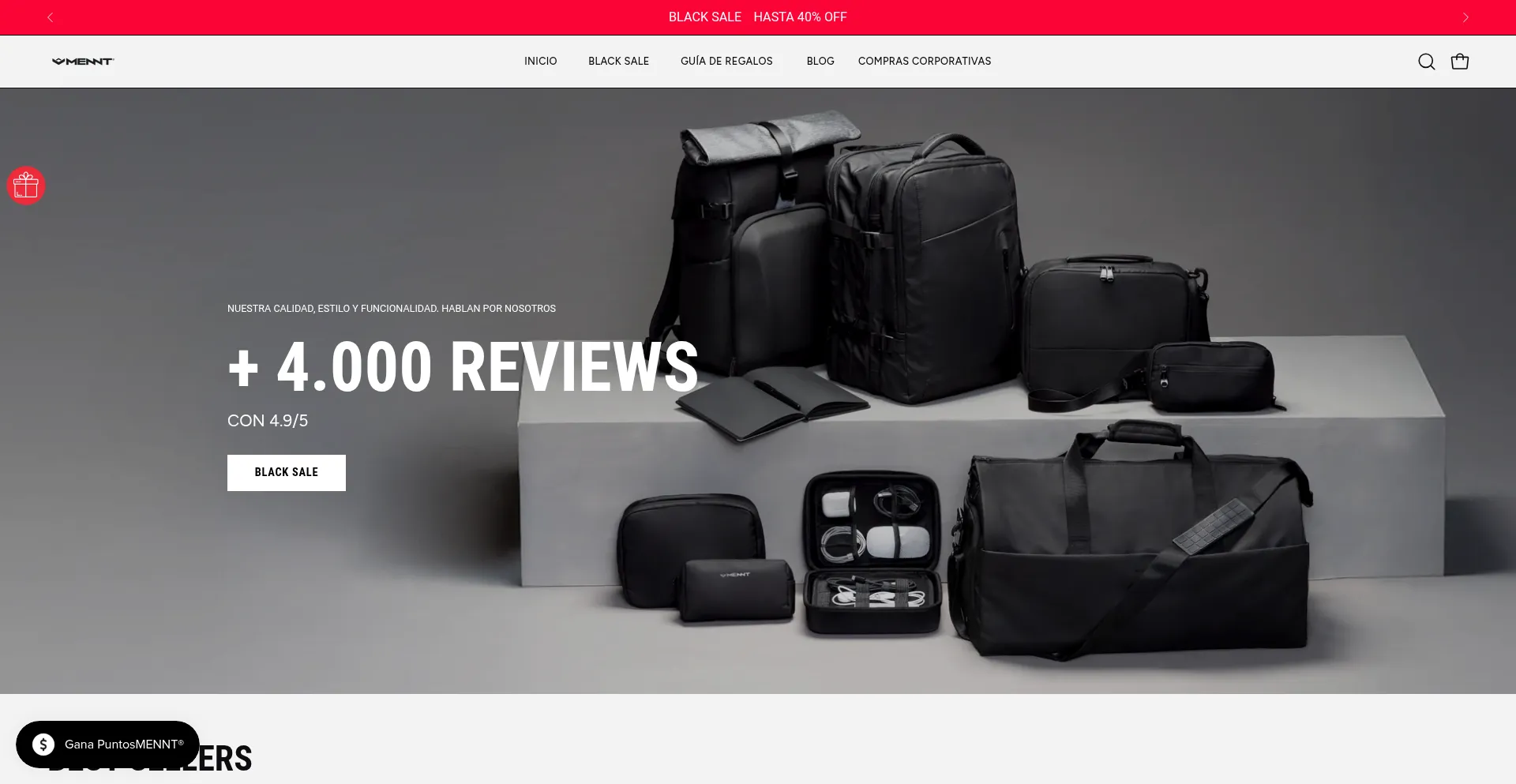 Website screenshot of Mentt.cl