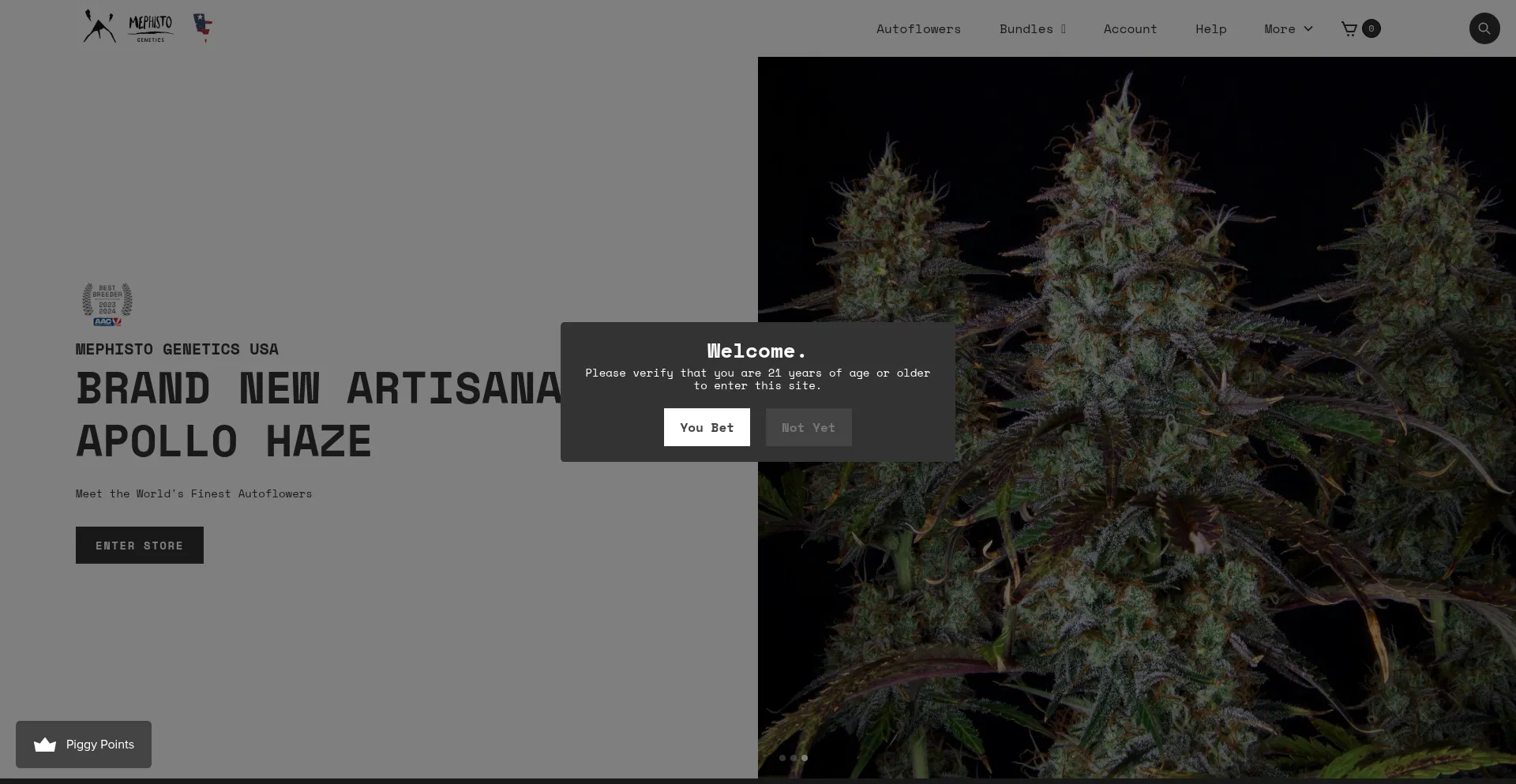 Mephistogenetics.com Screenshot