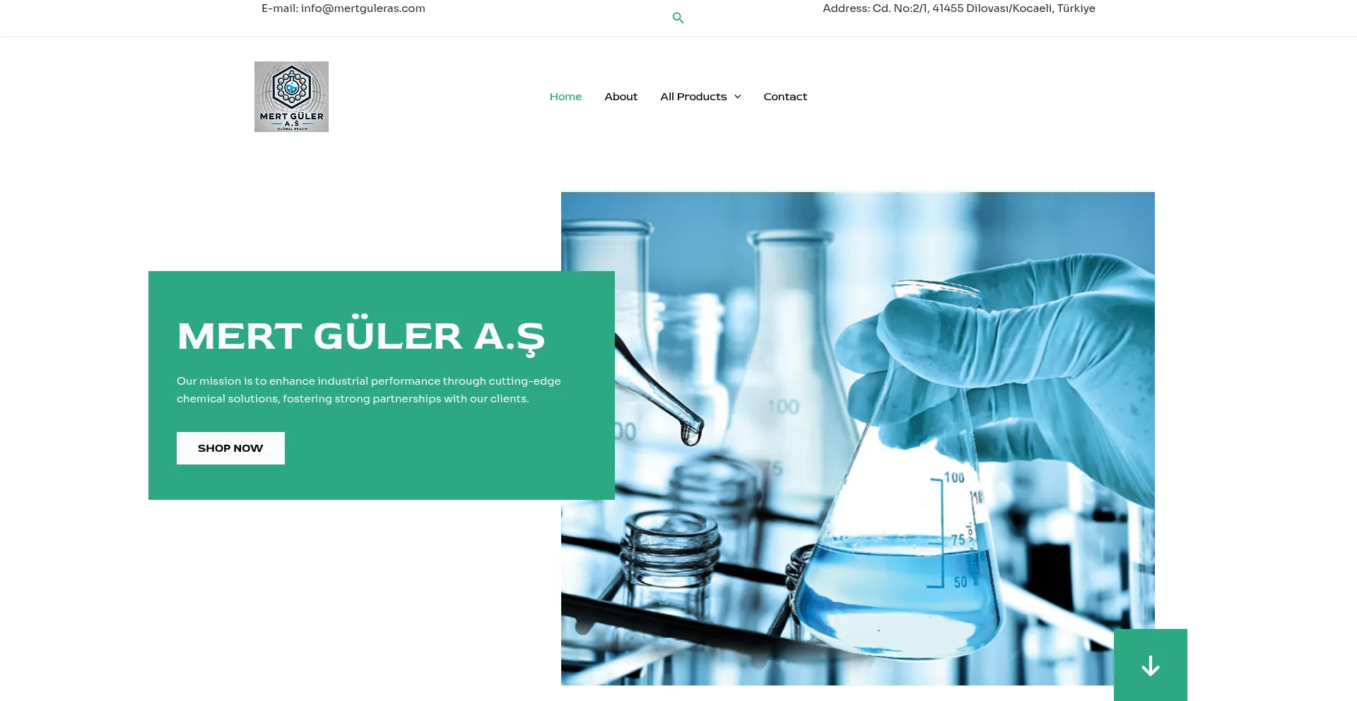 Website screenshot of Mertguleras.com