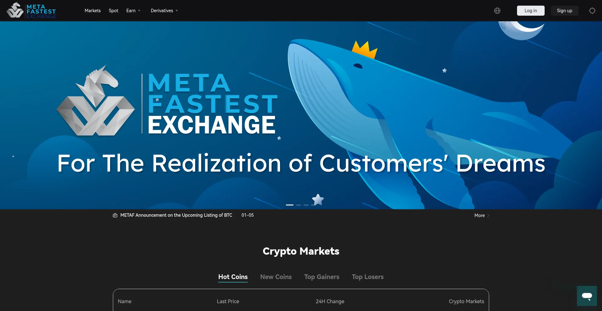 Website screenshot of Metafastest.exchange