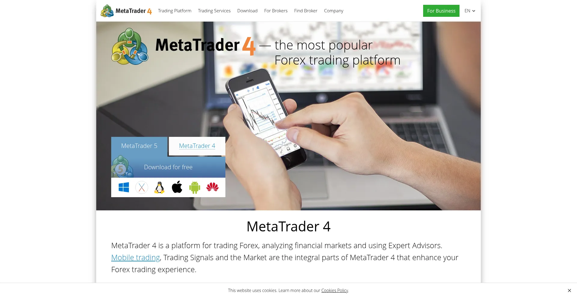 Website screenshot of Metatrader4.com