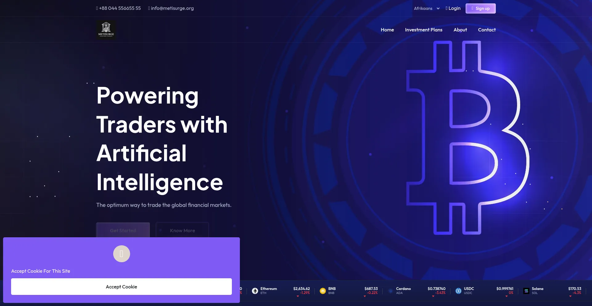 Website screenshot of Metisurge.org