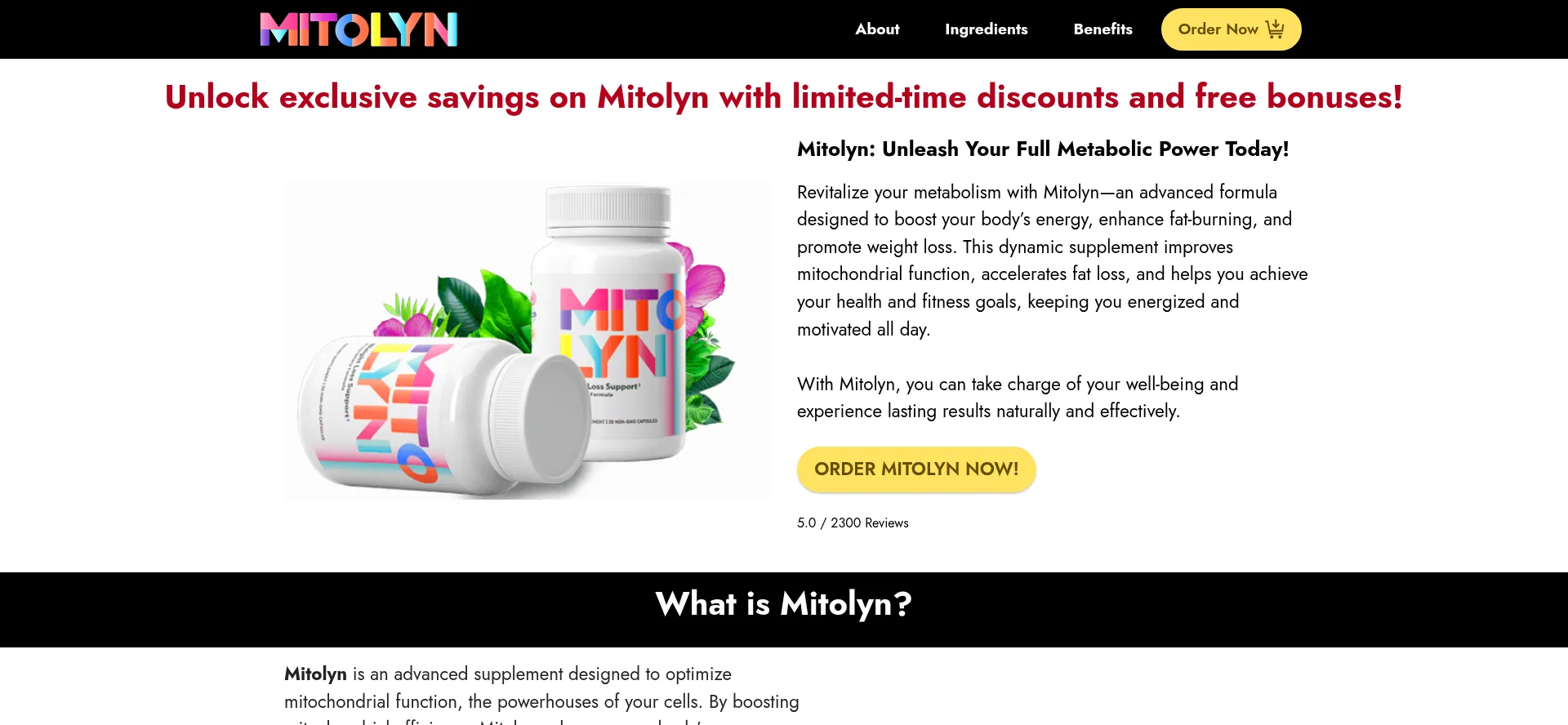Website screenshot of Metolean.com