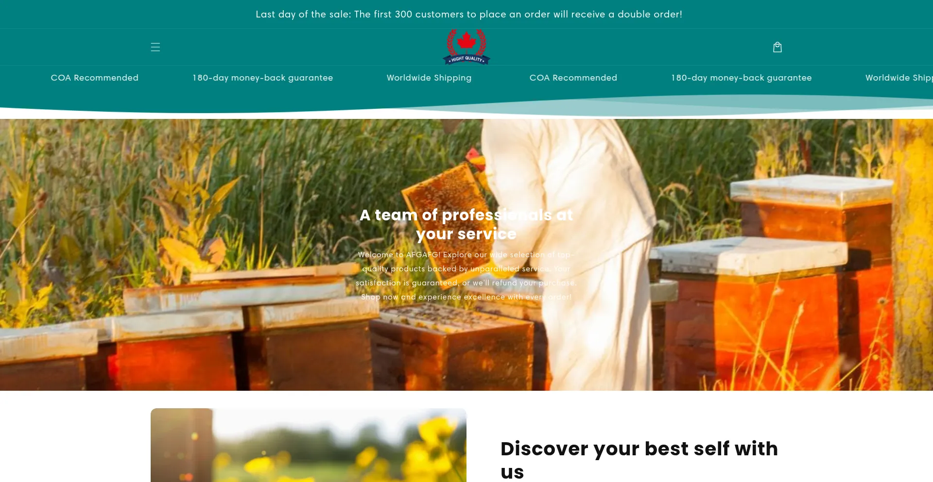 Website screenshot of Mgbeeeco.com