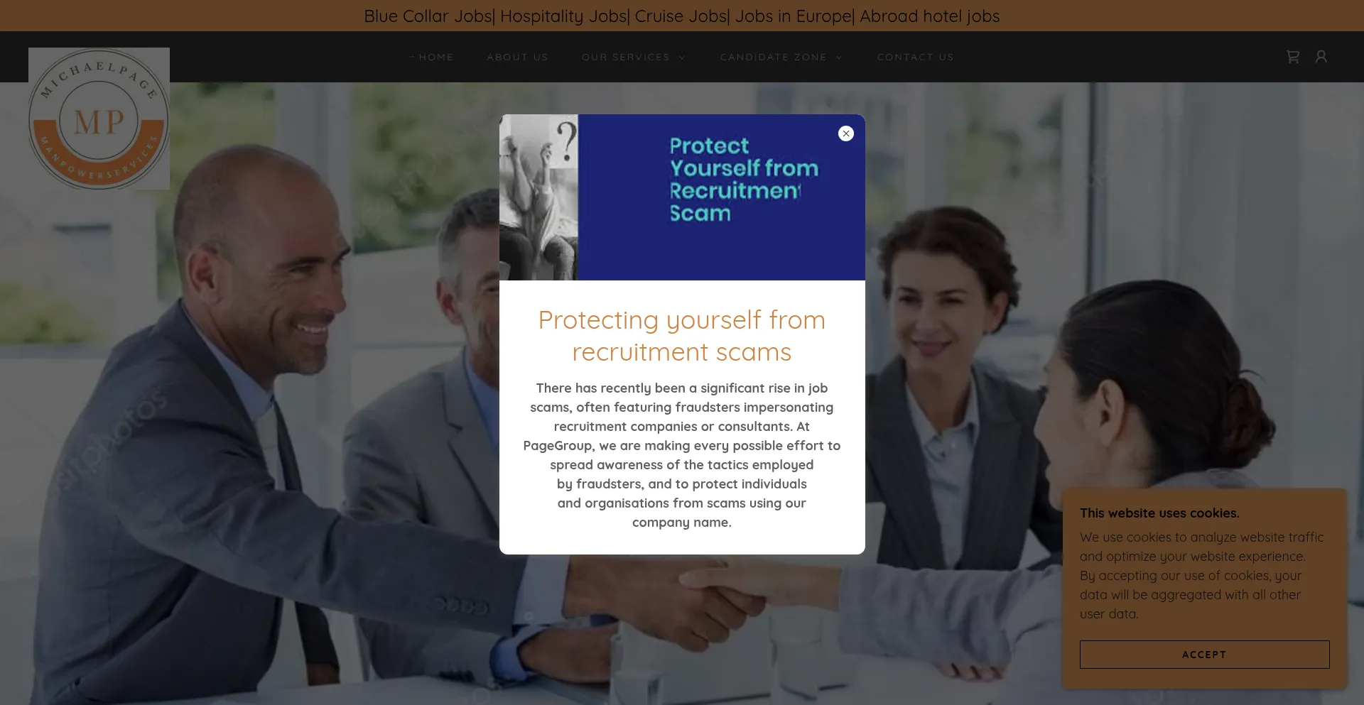 Website screenshot of Michaelpageimmigrationexperts.com
