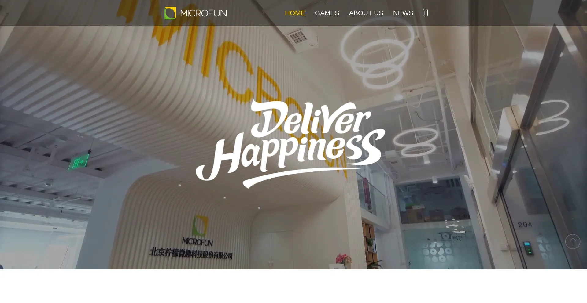 Website screenshot of Microfun.com