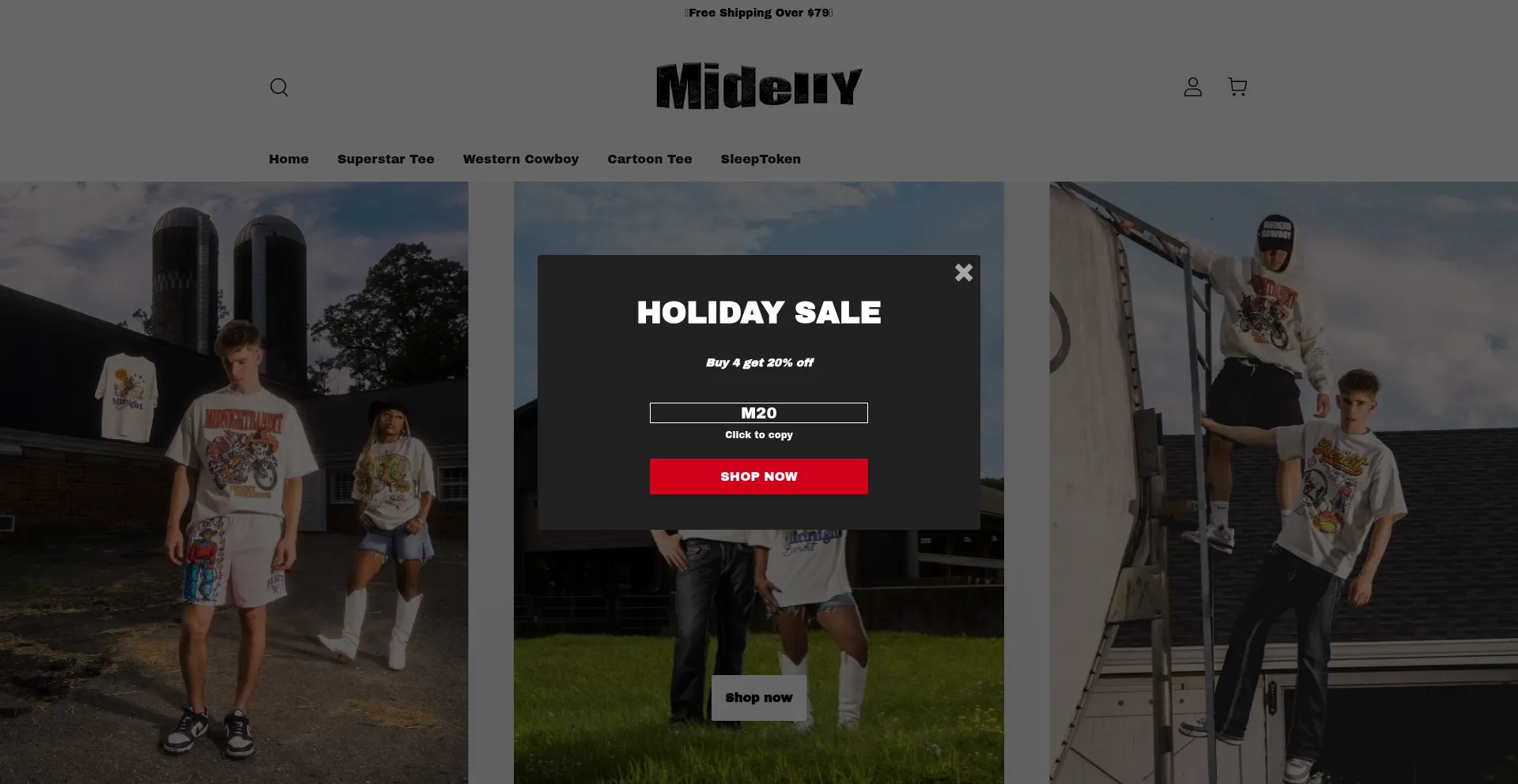 Website screenshot of Midelly.com