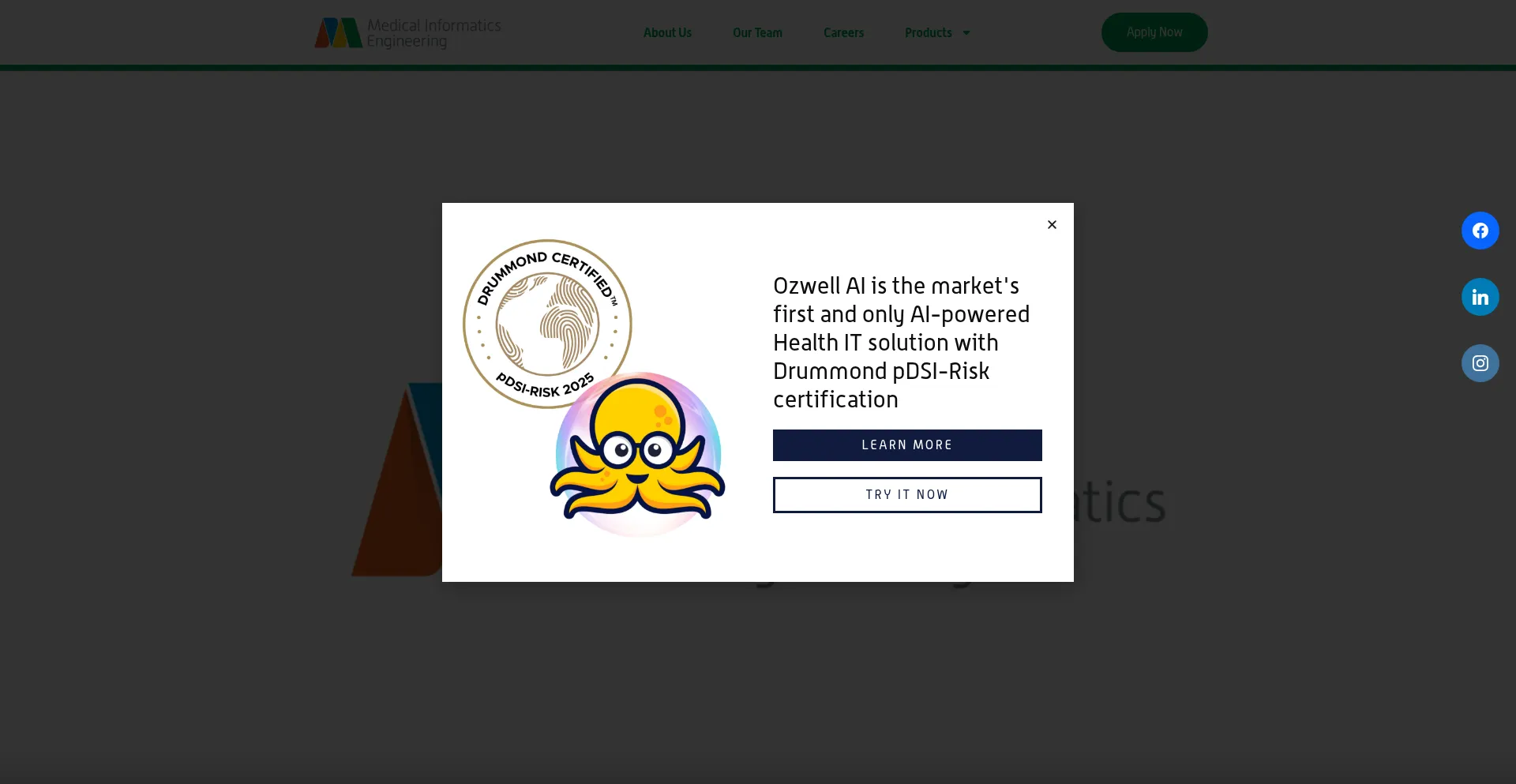 Website screenshot of Mieweb.org