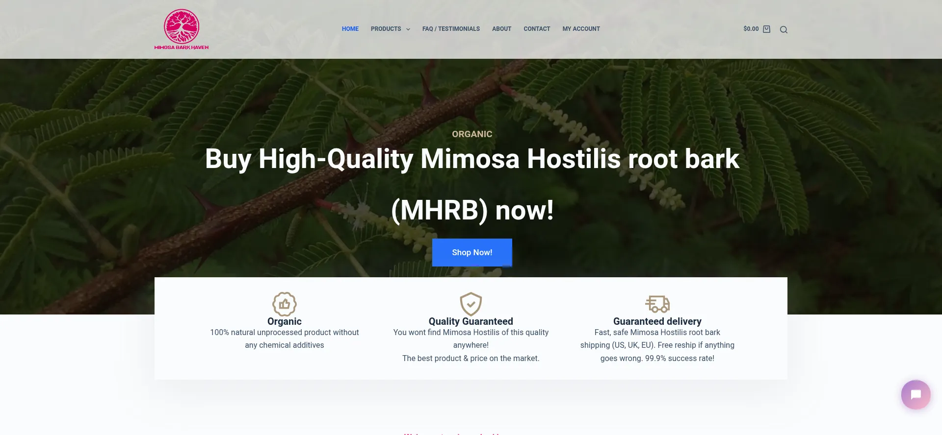 Website screenshot of Mimosabarkhaven.com