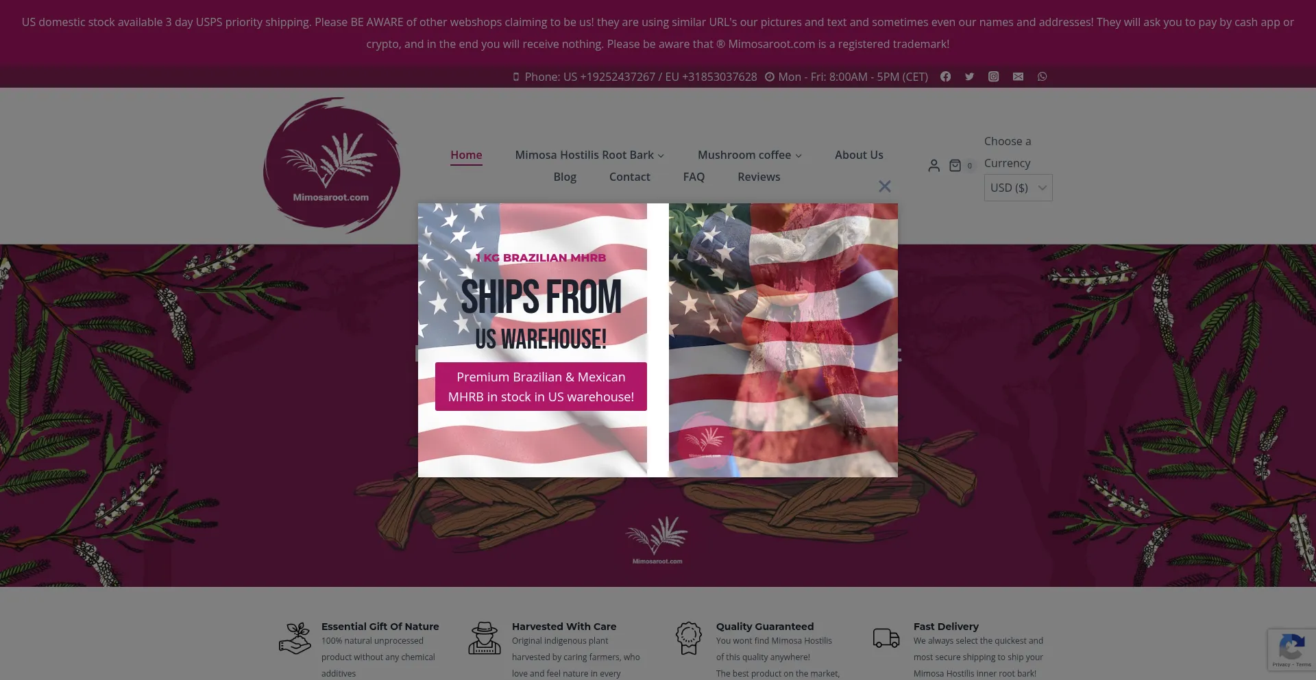 Website screenshot of Mimosaroot.com