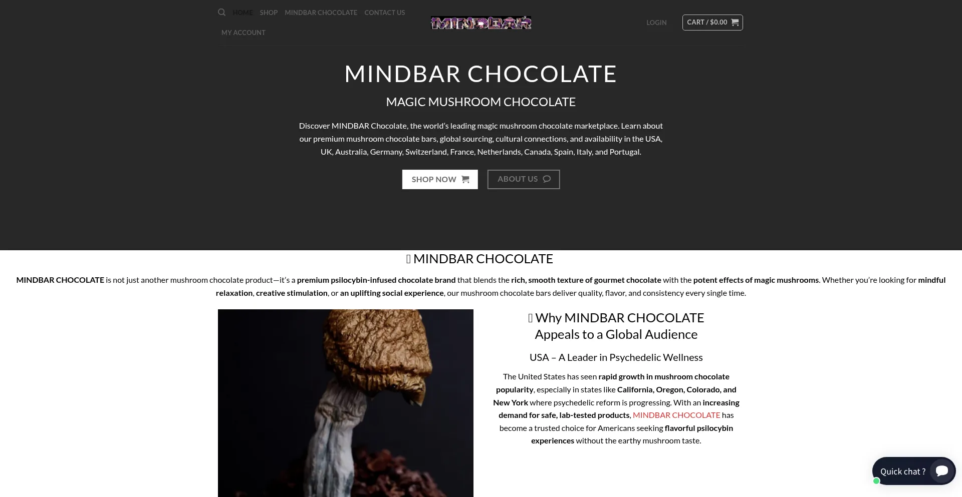 Mindbarchocolates.com