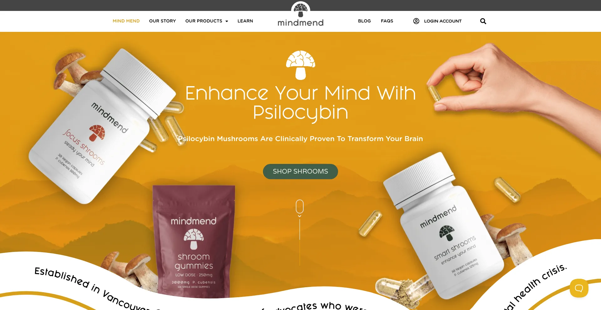 Website screenshot of Mindmend.co