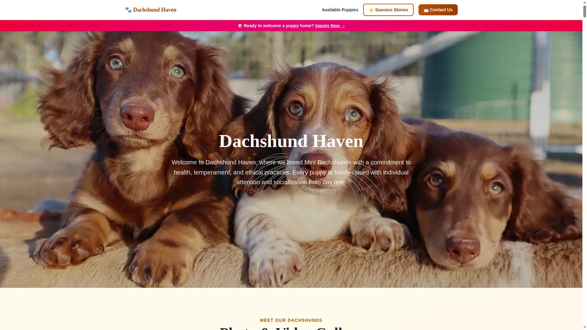 Minidachshundshaven.com