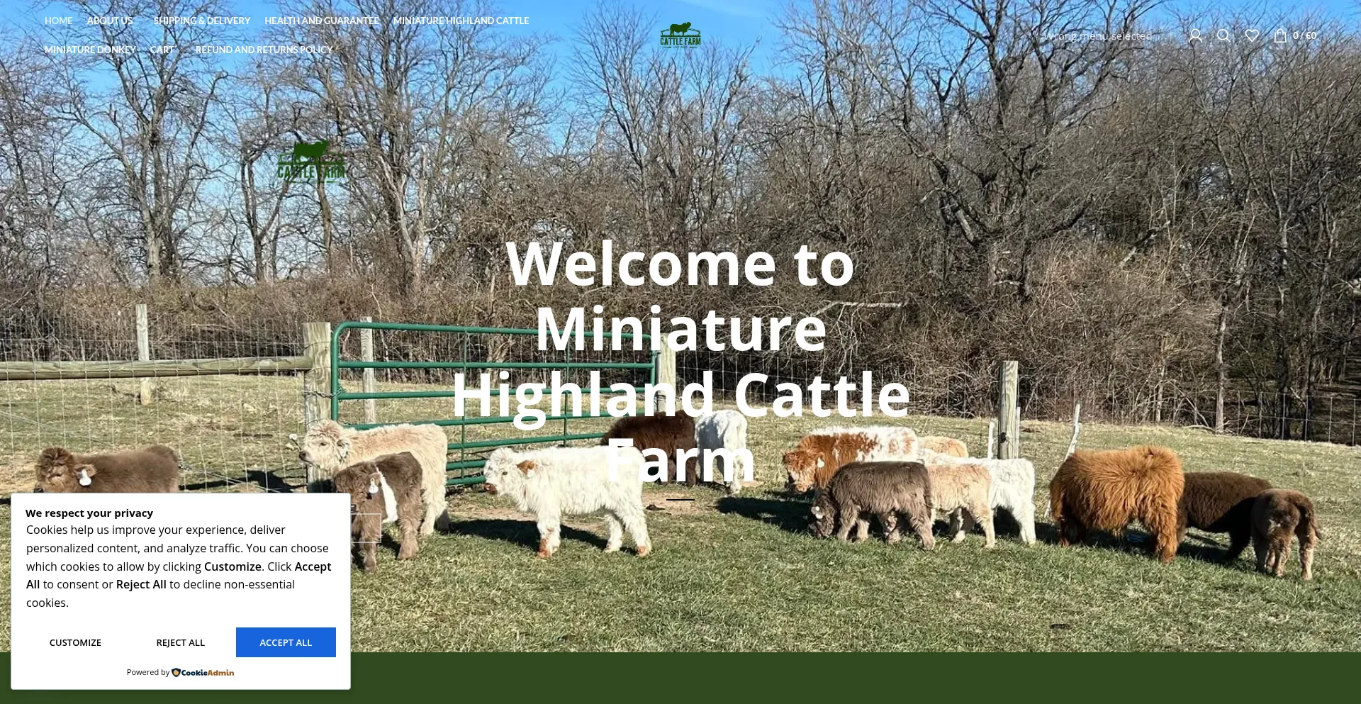 Minihighlandcattle.org