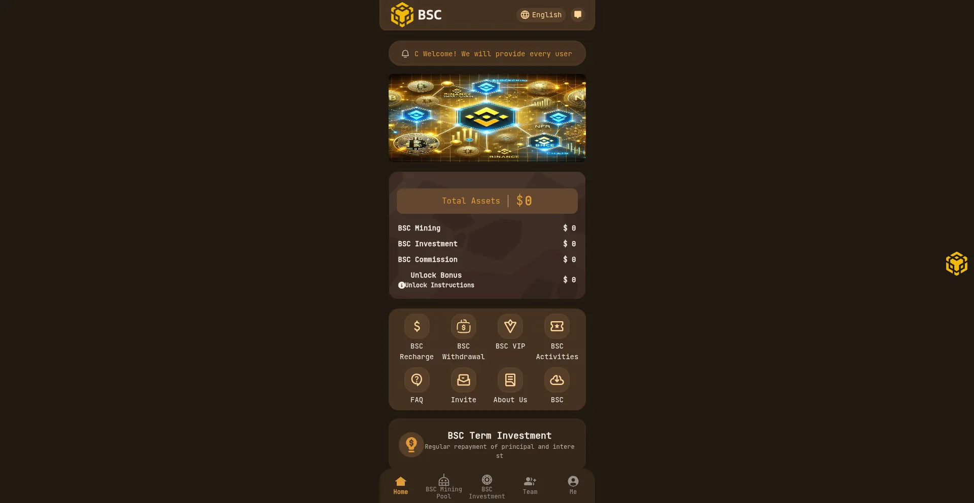 Website screenshot of Miningbsc.com