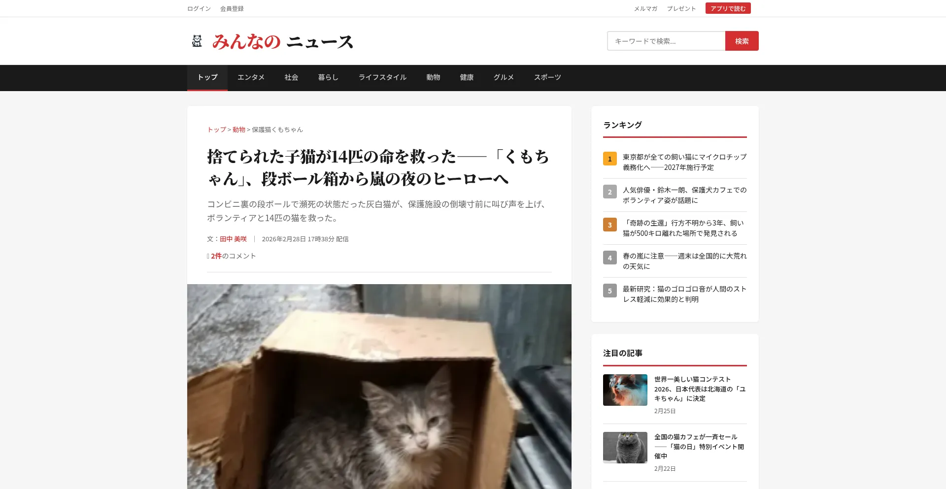 Minnanojp.org