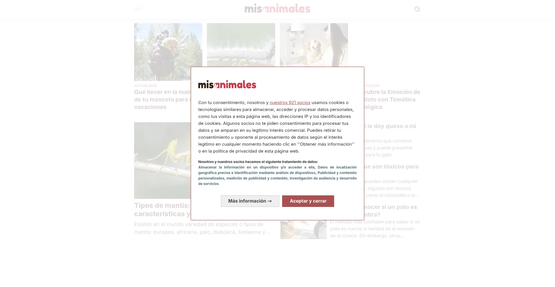 Website screenshot of Misanimales.com