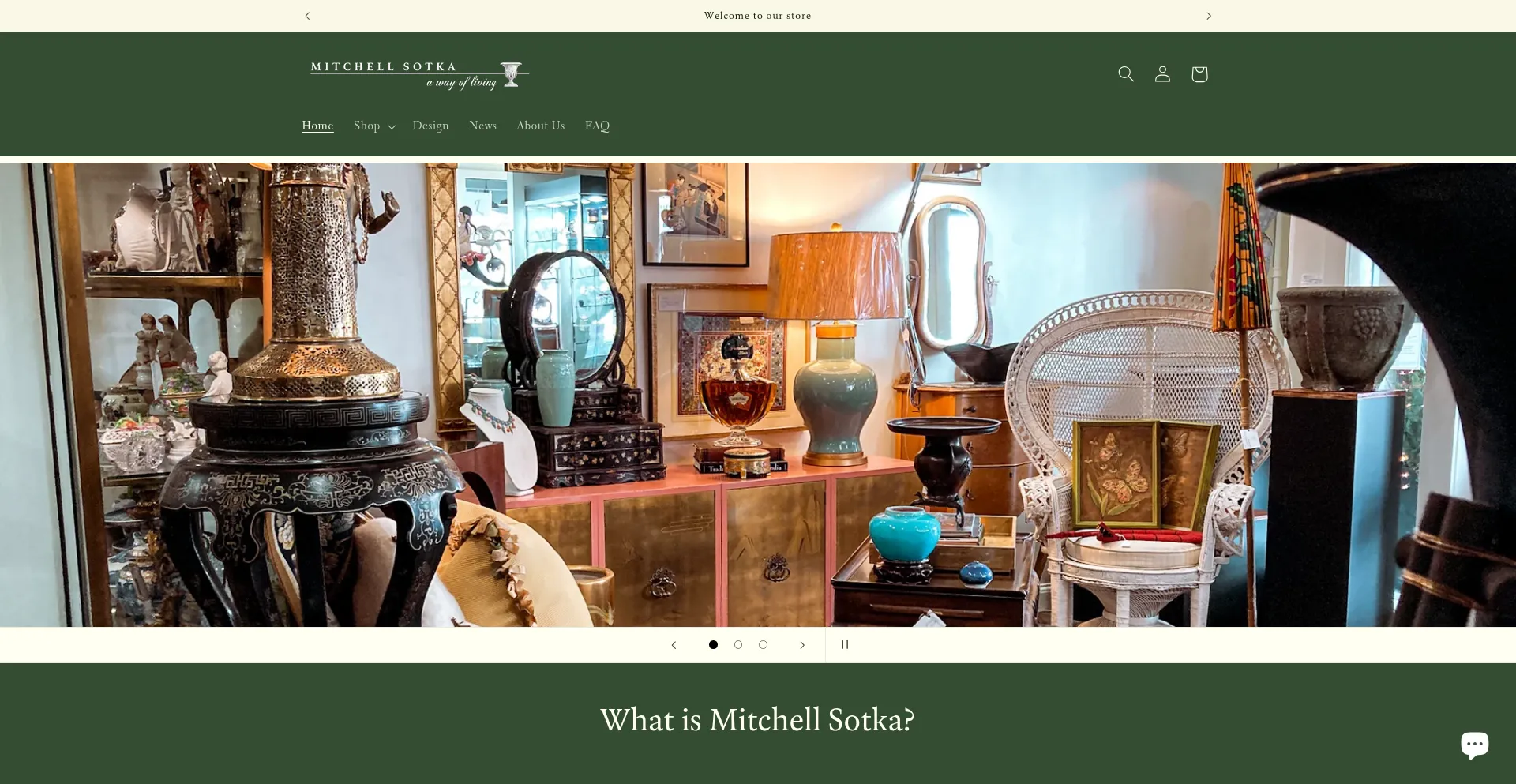 Website screenshot of Mitchellsotka.com