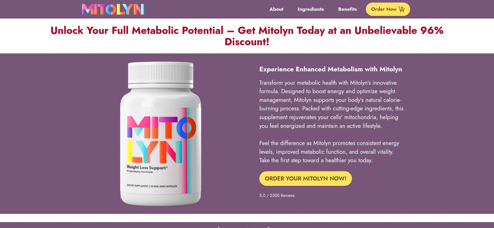 Website screenshot of Mito-lyn.com