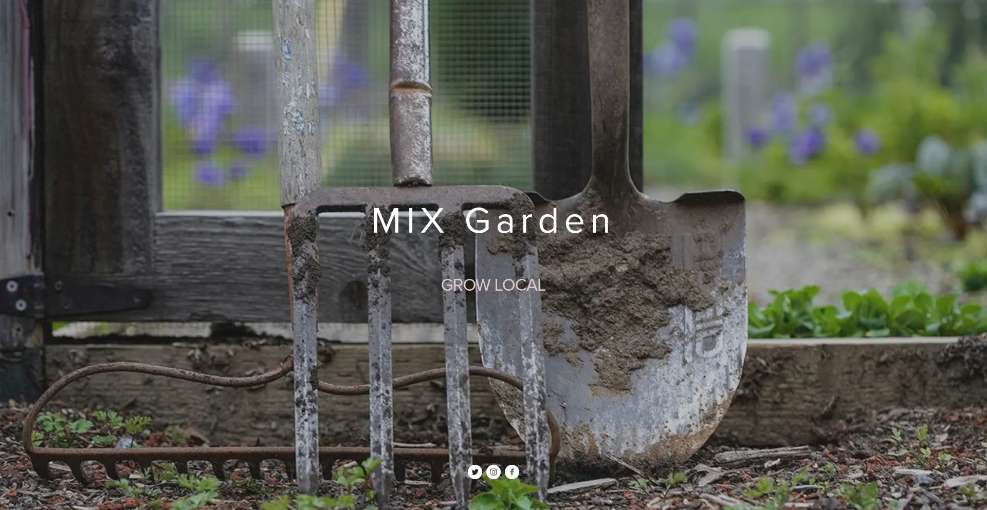 Website screenshot of Mixgarden.com