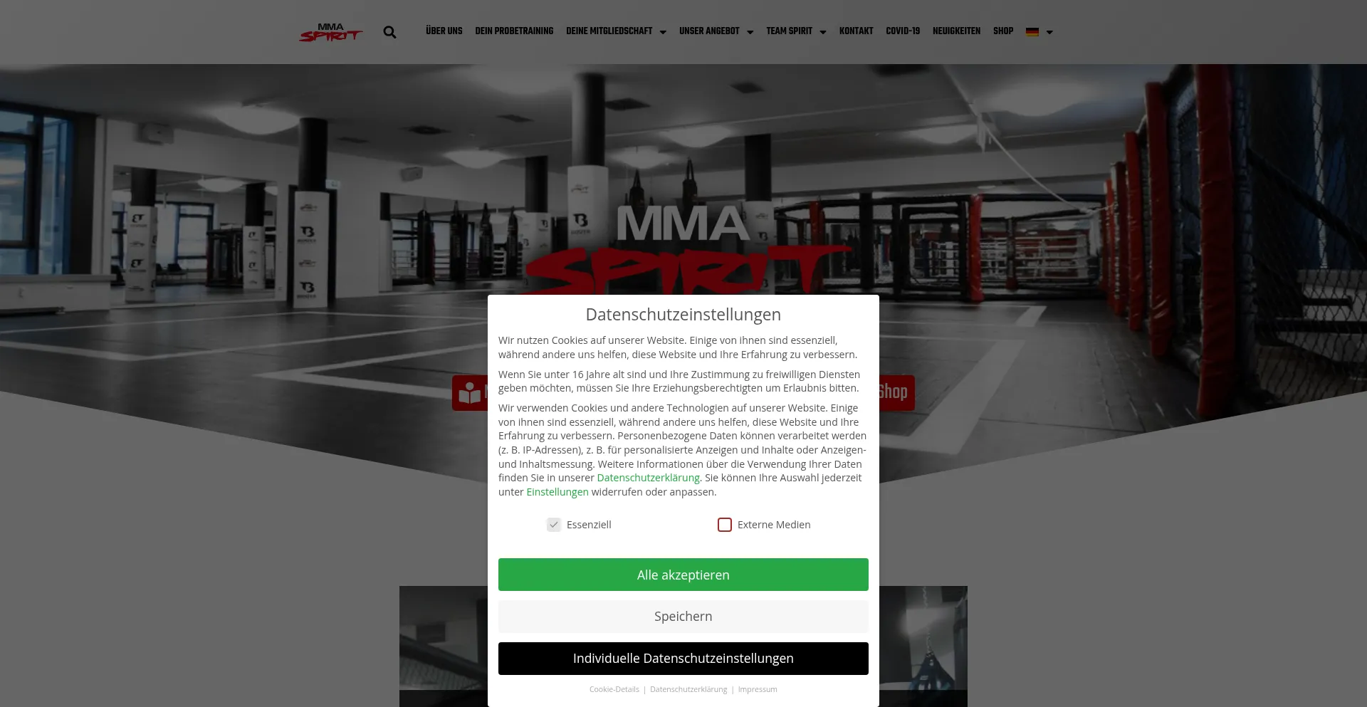 Website screenshot of Mmaspirit.tv