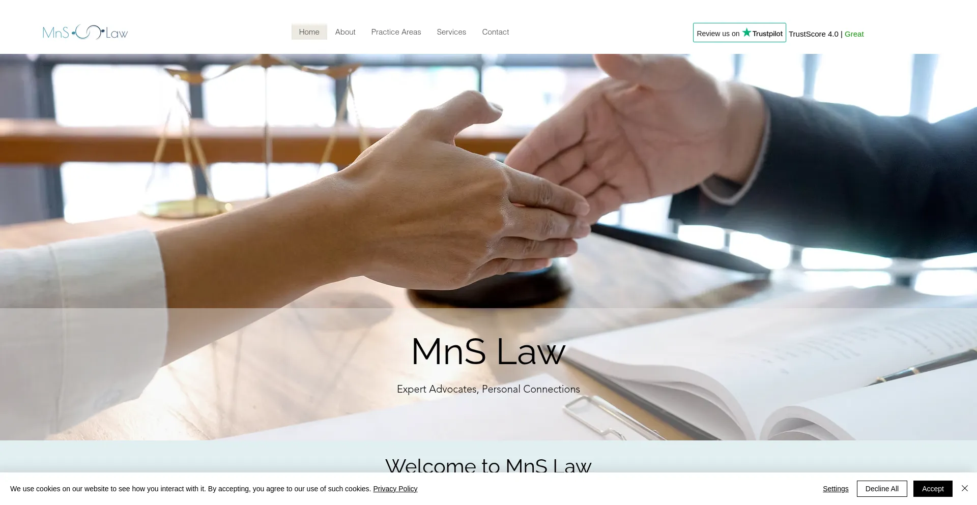 Website screenshot of Mns-law.com